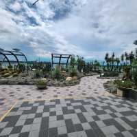 Cactus Garden at Changi Airport T1