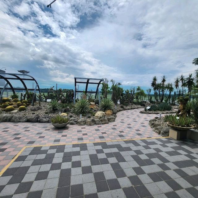 Cactus Garden at Changi Airport T1