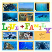 🌊🐠 台灣海洋生物博物館─海洋奇觀樂園 🌊🐠