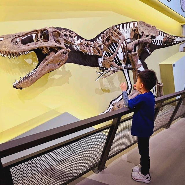 與恐龍共舞：香港科學館古生物展覽帶你探索失落的世界！