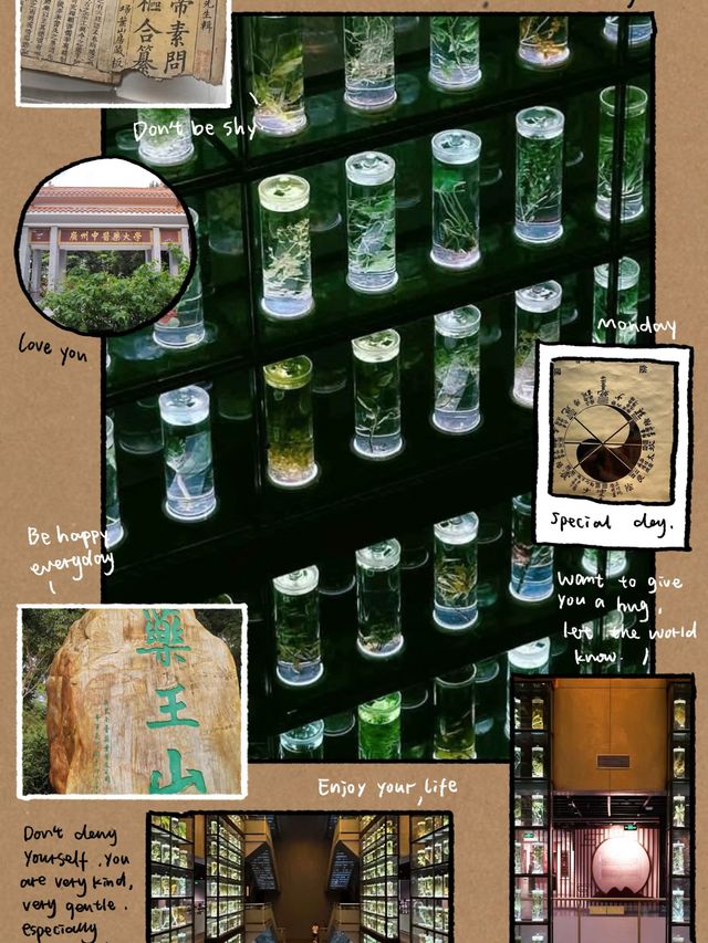 中醫的秘密🌿📚💫 廣東中醫藥博物館