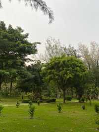 ถ่ายรูปสวนที่สวนเบญจกิติ 