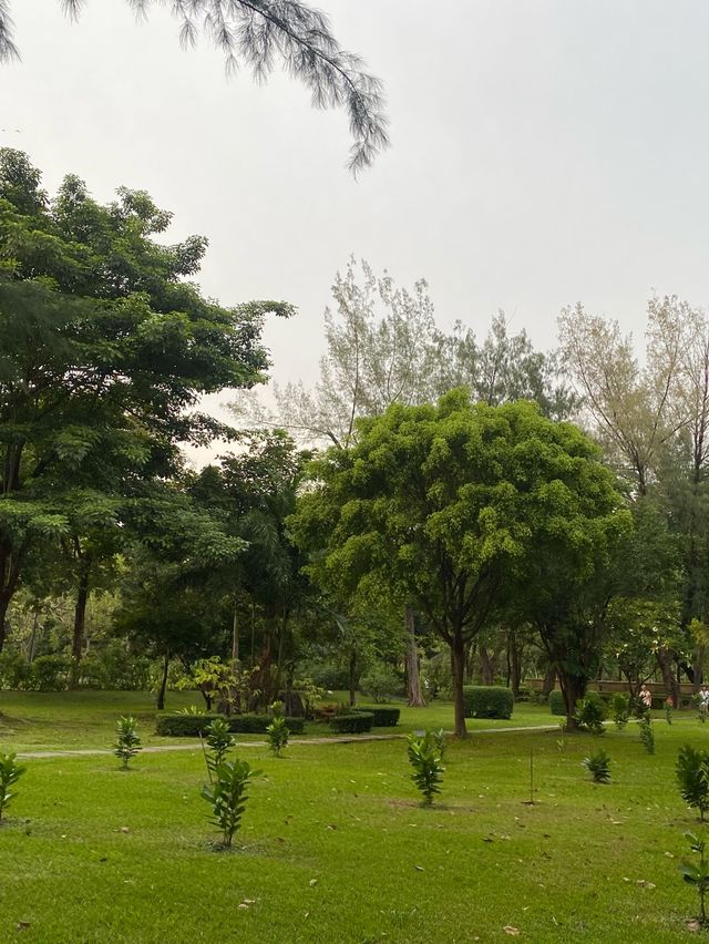 ถ่ายรูปสวนที่สวนเบญจกิติ 