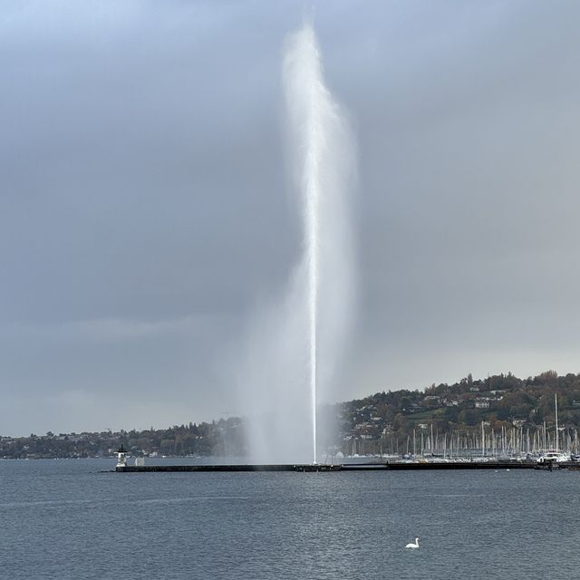 Spectacular Beauty: Geneva's Water Fountain
