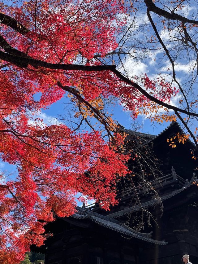 秋の京都　南禅寺と水路閣