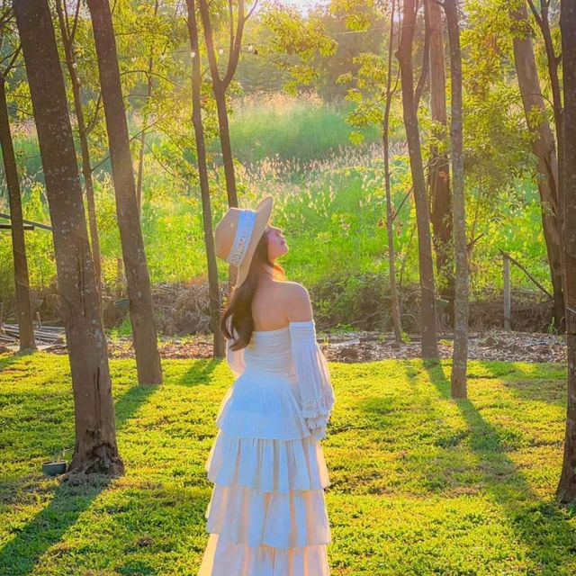 ที่พักเปิดใหม่ ซ่อนตัวลับๆ ท่ามกลางธรรมชาติ ติดริมผาวิวแกรนด์แคนยอนน้ำหนาว🌳⛰️