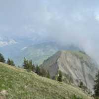 Wiesenberg: Alpine Charm Unveiled