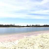 西澳 羅特尼斯島 Rottnest Island