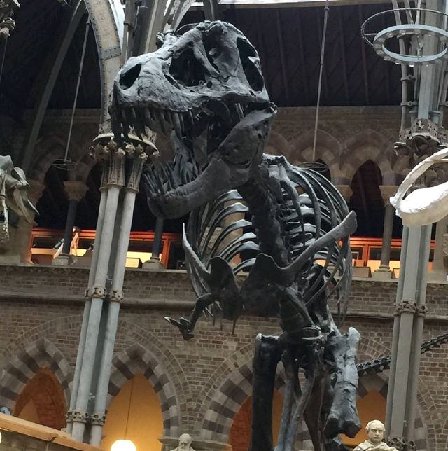 牛津科學及古生物博物館