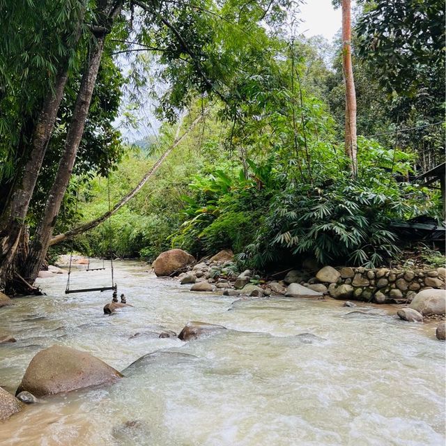 Nature and the sound of river flows