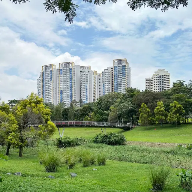 Beautiful Bishan Park