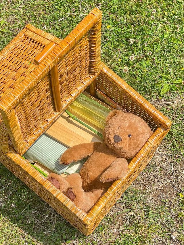 제주 동화 속 그 잡채 피크닉스팟🧺🌿