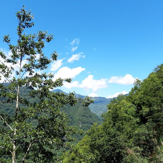 此生必去-最美的部落 司馬庫斯 神木群登山步道挑戰