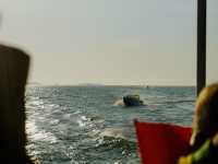 เกาะล้าน - koh larn island มาเถอะสวยจริง