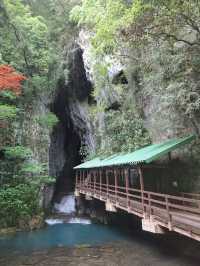 【熊本】日本最大規模！秋芳洞