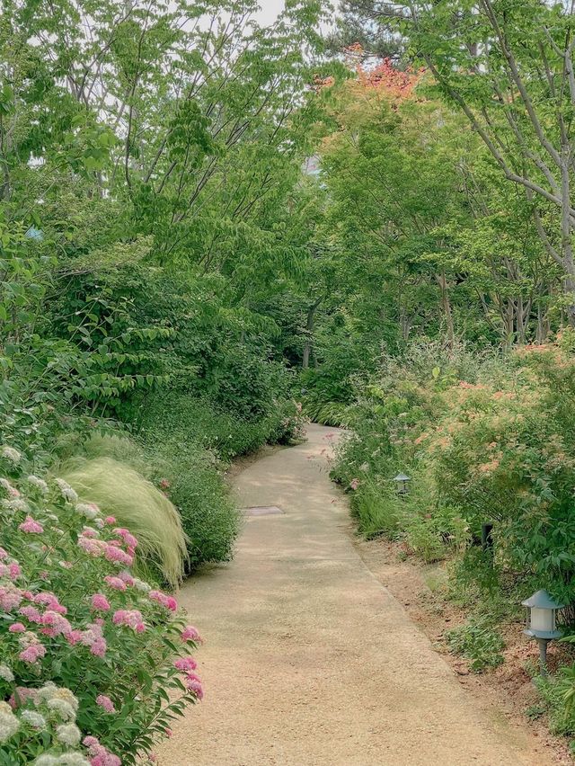 여름의 싱그러움을 만날 수 있는 곳☀️