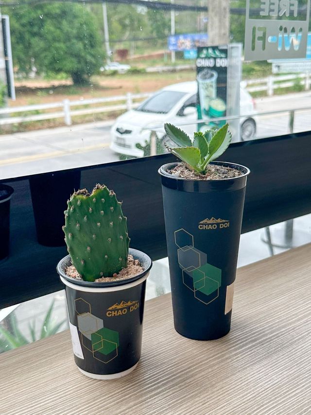ชาวดอย สาขาถนนเขาพระตำหนัก 🥤