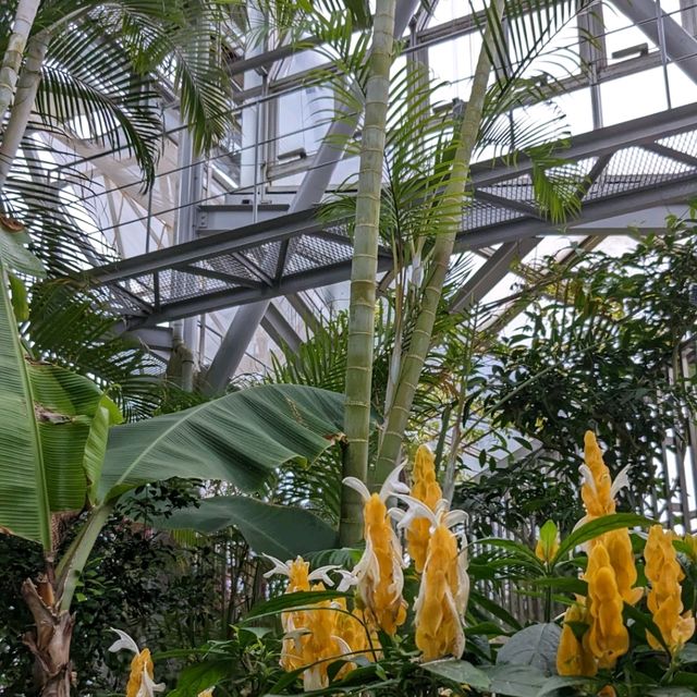 【ハーブ探しの旅】神戸最大の癒しスポット！神戸布引ハーブ園