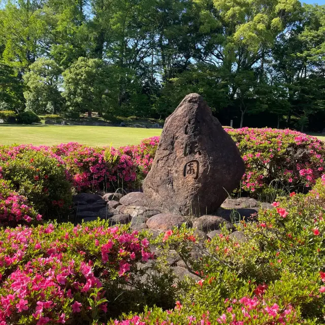 Motorikyu Nijo castle garden 