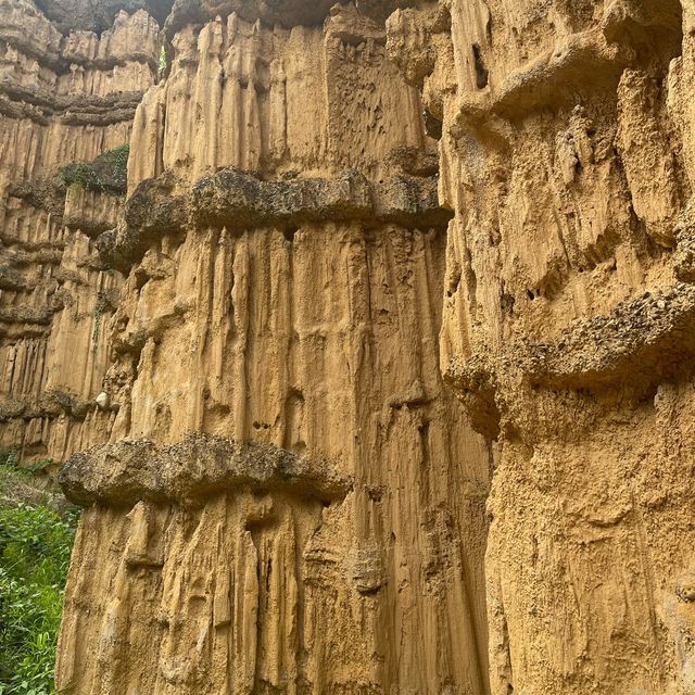 🌿⛰️เดินชมความสวยงามของธรรมชาติที่ผาช่อ🌴🌿
