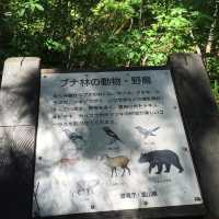 美女平 ｜自然探島步道🌲🌳🕊️