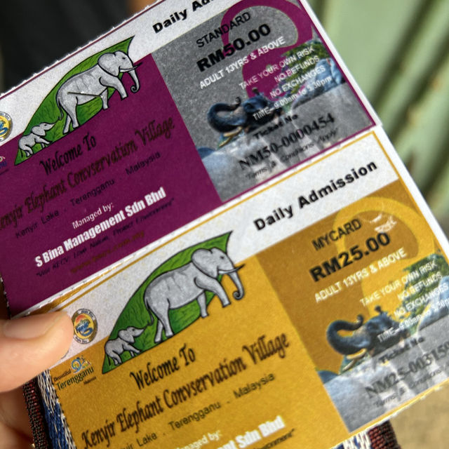 國家公園的大象保育公園 🐘