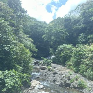 필리핀 일로일로 Bucari 계곡 시원하게 놀구 왔어요😆🥶