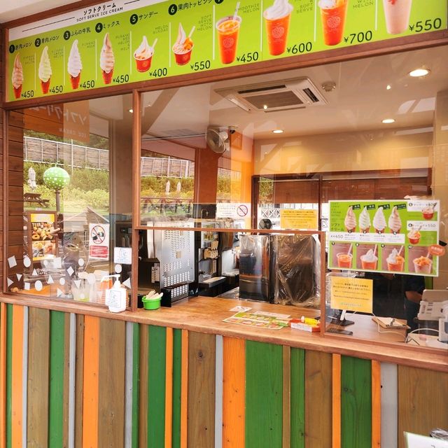 甘くて濃いメロン🍈【とみたメロンハウス】