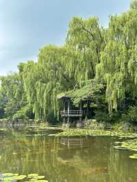 파주 가볼만한 곳, 벽초지수목원🌿💚
