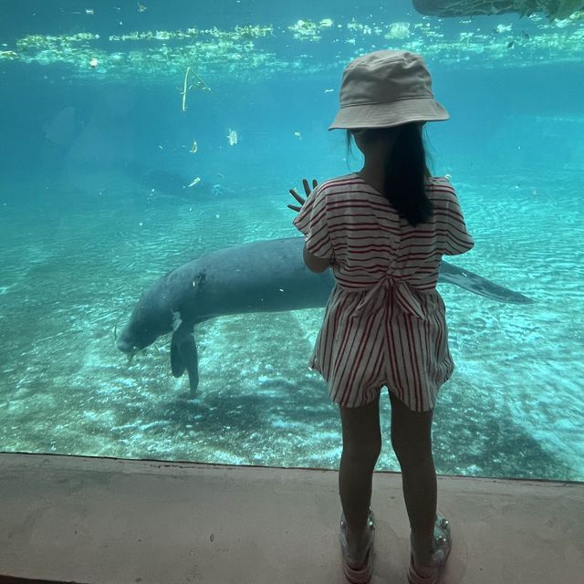 🇹🇭泰國曼谷| Safari World親子遊好去處
