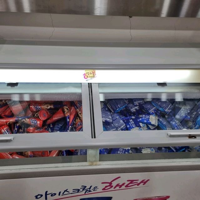 가을의 시작 억새보러가자