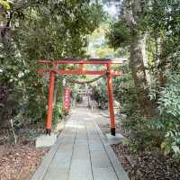 【大阪府】岸和田だんじりの宮入神社「夜疑神社(八木の宮入りさん)」