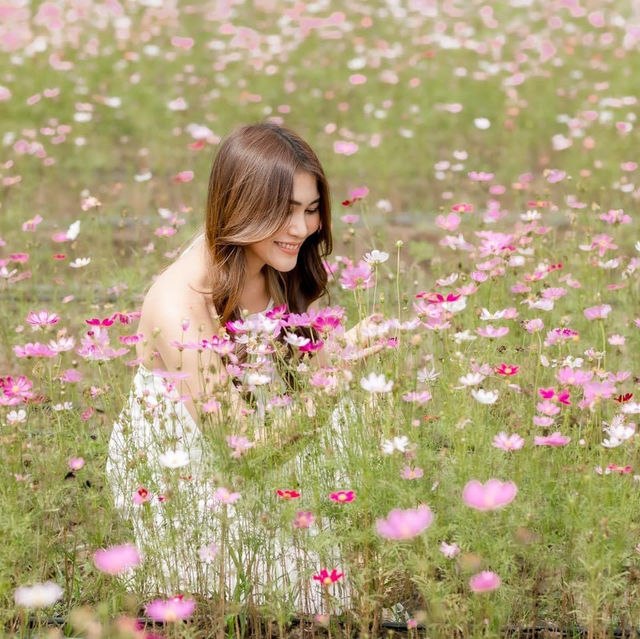 บ้านไร่นายรุ่ง ดอกไม้อย่างเยอะ!!
