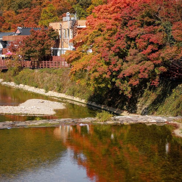 Beautiful Autumn View Of Naejangsan Park