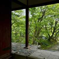 常寂光寺!!尋找內心寧靜的放鬆🌸🏯 