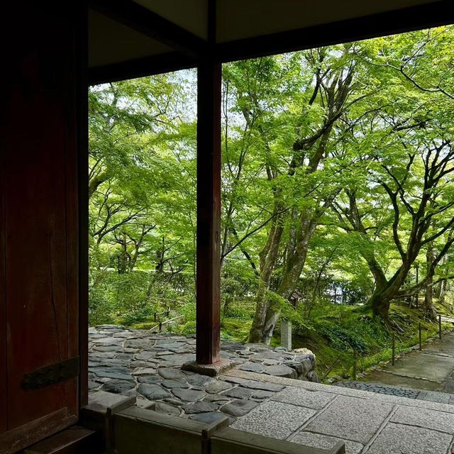 常寂光寺!!尋找內心寧靜的放鬆🌸🏯 