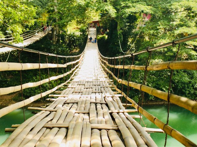 Hanging bridge + Cebu's man made forest