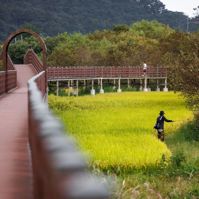 Beautiful of Yedang Reservoir 