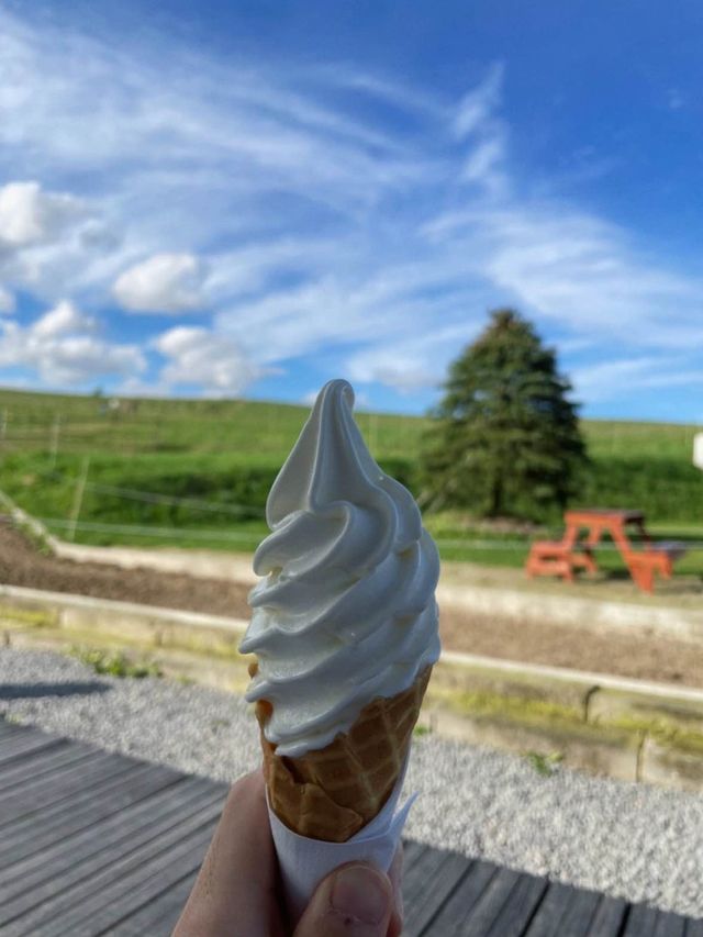 美瑛で行きたい🤍絵本に出てきそうな美しい牧場🐄‪🌱‬🥺【北海道】