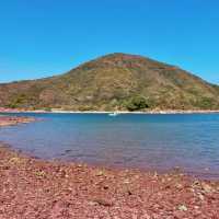🌊🏞️ 富岡地質公園～海岸奇觀🌵⛰️🔭
