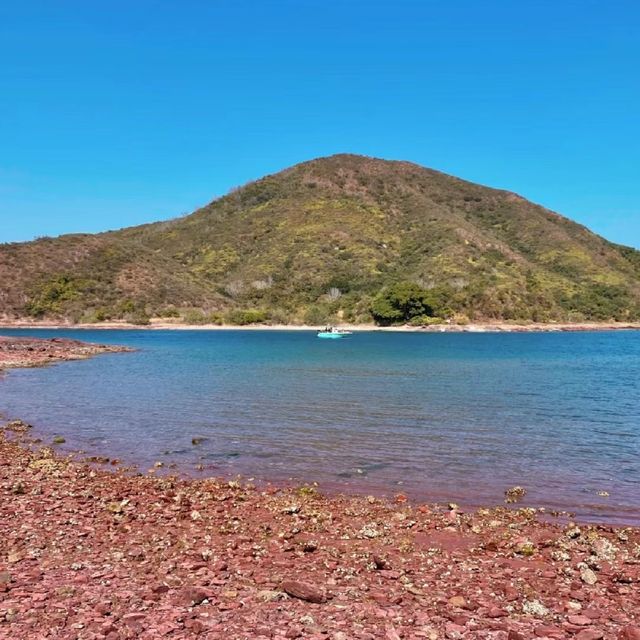 🌊🏞️ 富岡地質公園～海岸奇觀🌵⛰️🔭