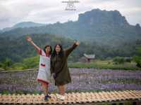 ไร่ภูผาหมวก