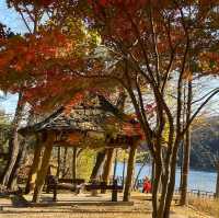 Nami Island:Fall Vibes in Winter Sonata Land