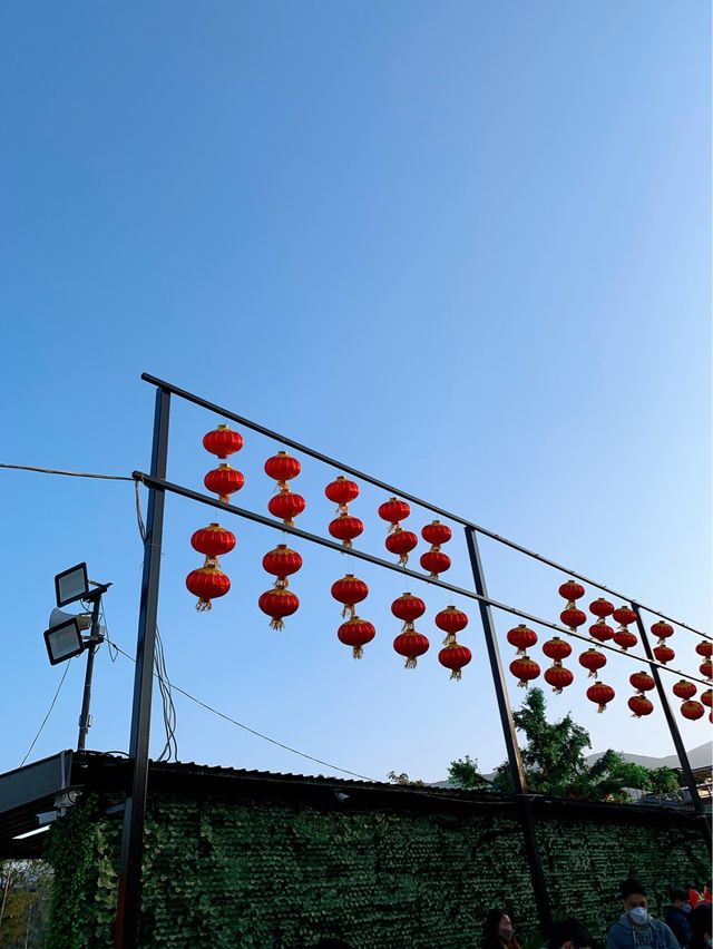 大埔｜許願節回歸•林村許願樹🍊