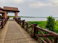 ศูนย์ศึกษาธรรมชาติและพันธุ์สัตว์ป่าทะเลน้อย 