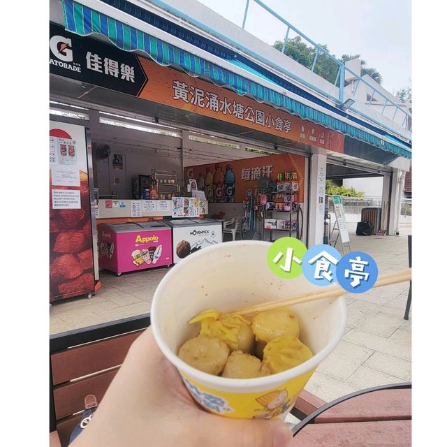 假日親子遊 • 港島寧靜湖畔玩📍水上單車