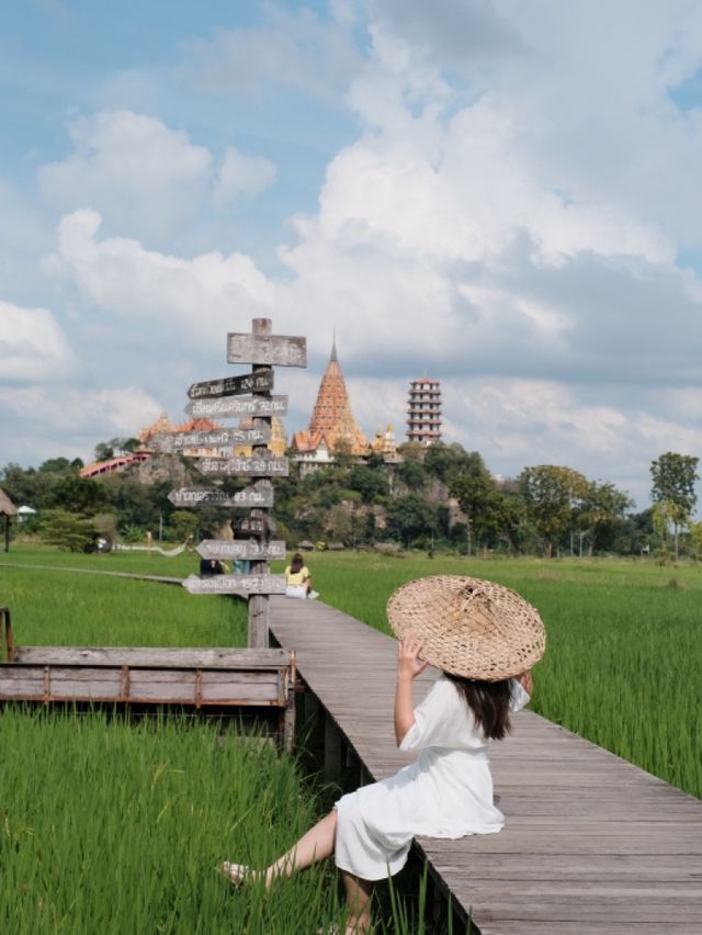 泰國曼谷近郊打卡 | meena cafe 🌾  稻田咖啡廳