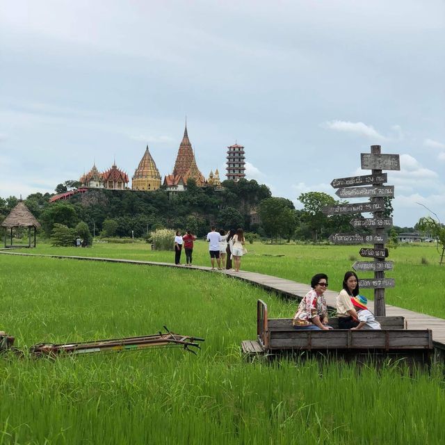 Cafe in the middle of rice field,Kanchanaburi