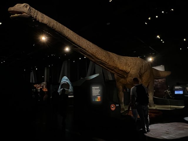 My Ancestors' 🤩🥰 Museum of my vibe🫢😝