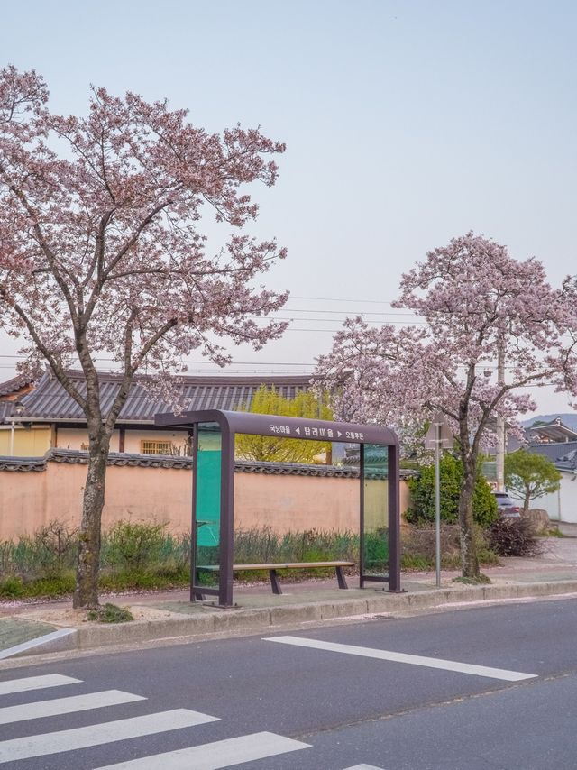 도란도란 이야기 나누며 걷기 좋은 오릉 돌담길